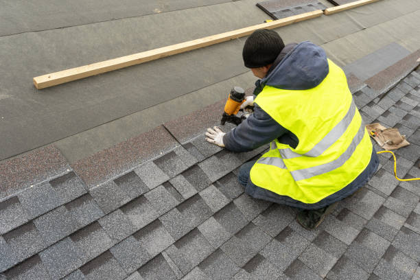 Best Residential Roofing Contractor  in Luna Pier, MI