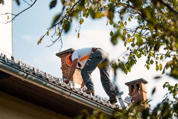 Best Roof Gutter Cleaning  in Luna Pier, MI