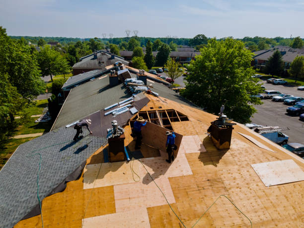 Best Roof Replacement Cost  in Luna Pier, MI