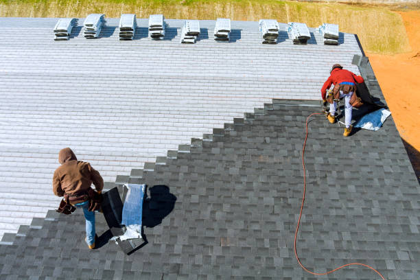 Best New Roof Installation  in Luna Pier, MI