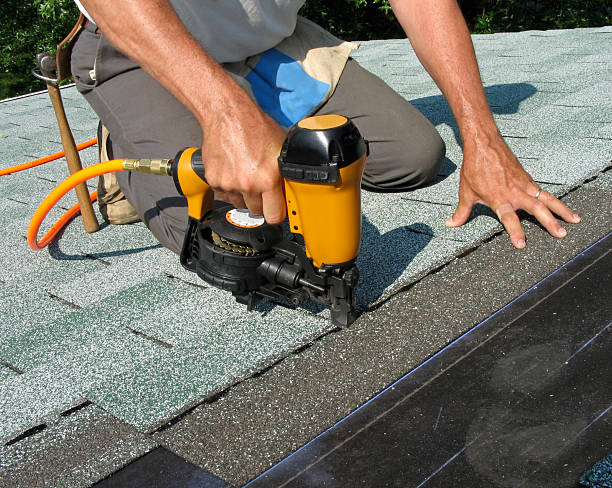 Best Emergency Roof Repair  in Luna Pier, MI