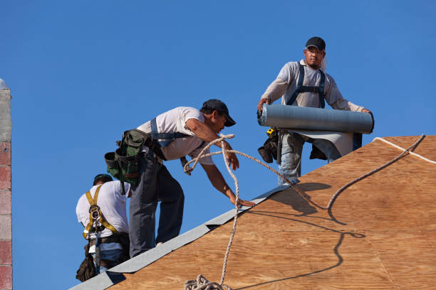 Best Commercial Roofing Services  in Luna Pier, MI
