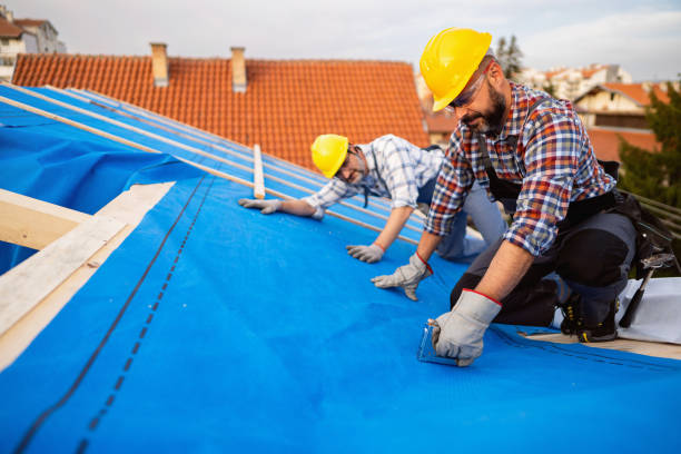 Best Shingle Roofing Installation  in Luna Pier, MI