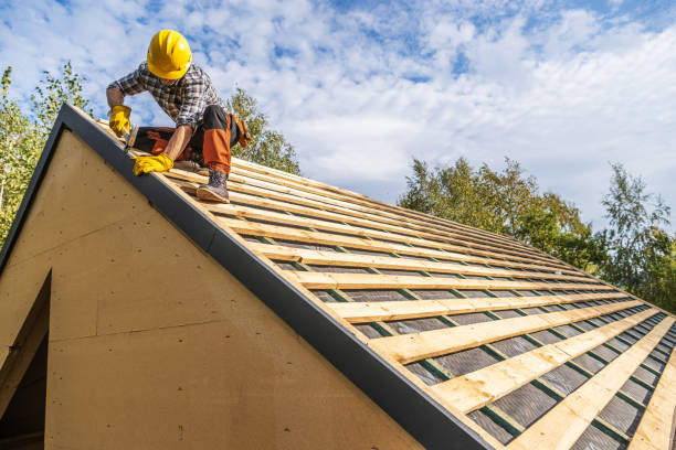 Best Storm Damage Roof Repair  in Luna Pier, MI