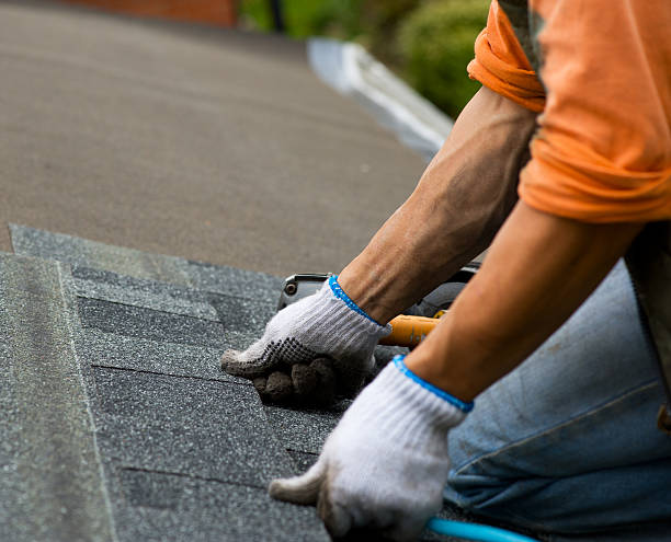 Best Best Roofing Contractors  in Luna Pier, MI
