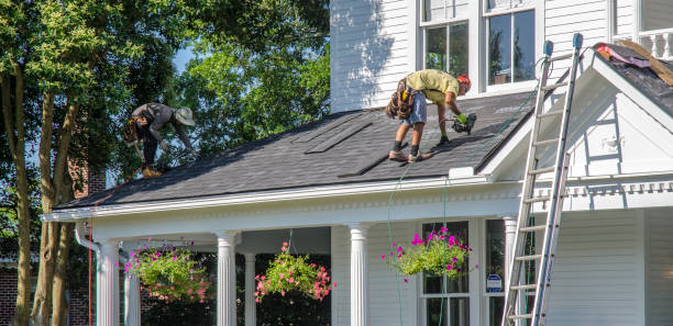 Residential Roof Replacement in Luna Pier, MI
