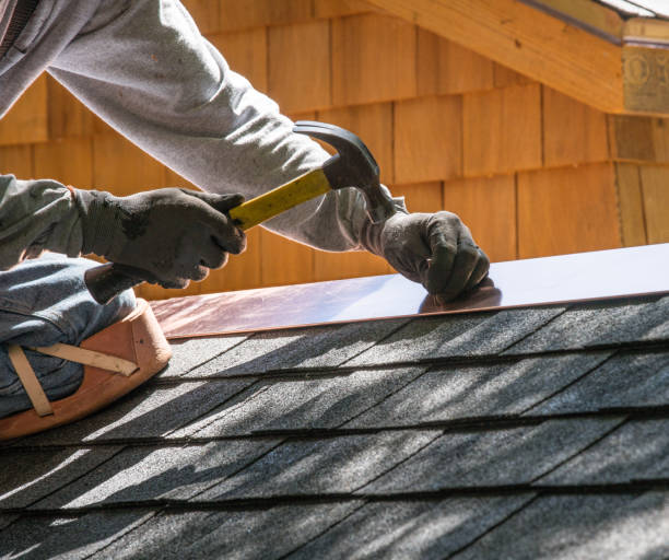 Best Roof Maintenance Services  in Luna Pier, MI